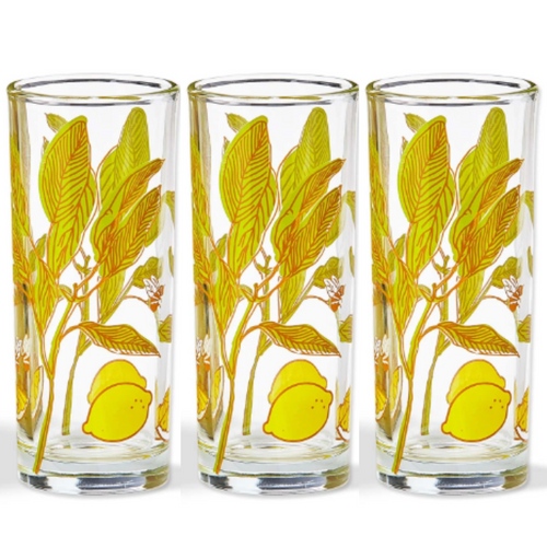 Lemon Drink Glass