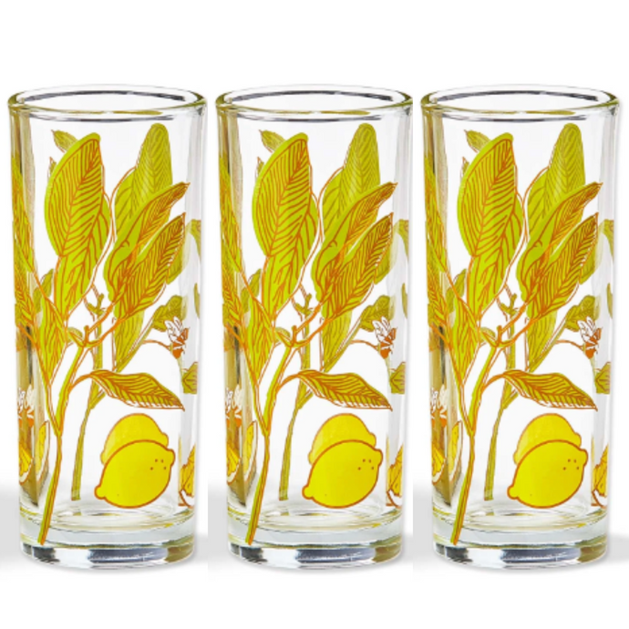 Lemon Drink Glass