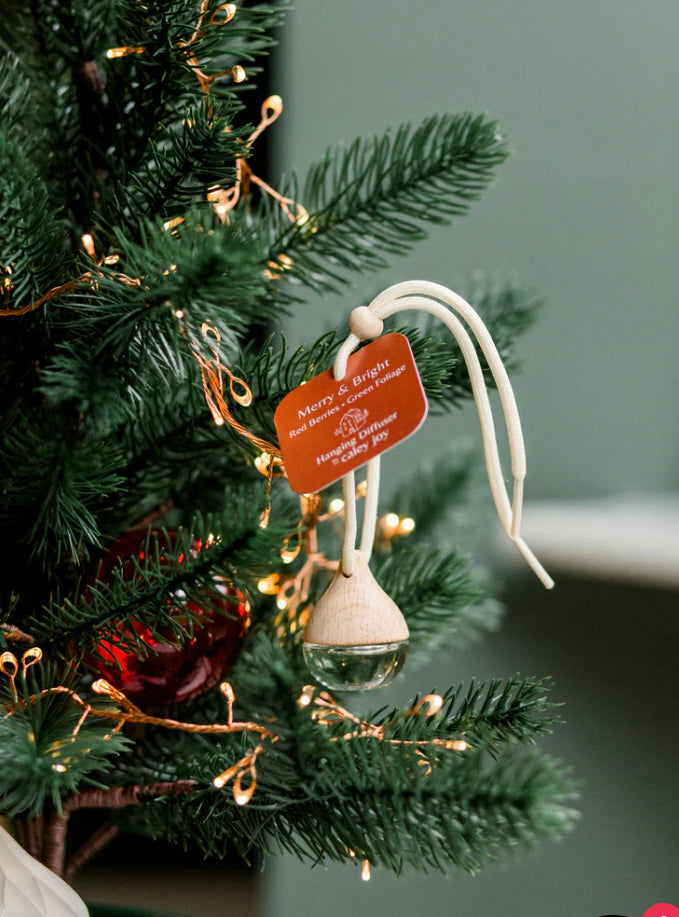 Winter Hanging Diffusers