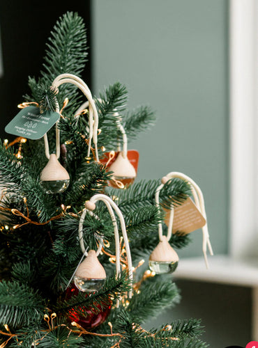 Winter Hanging Diffusers
