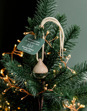 Load image into Gallery viewer, Winter Hanging Diffusers
