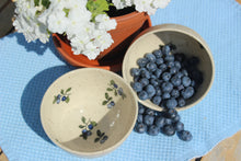 Load image into Gallery viewer, Blueberry Pottery Bowl