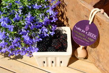Load image into Gallery viewer, SEEK x Caley Joy Bramble &amp; Sage Hanging Diffuser