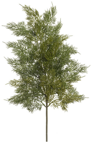 Holiday Cedar Spray