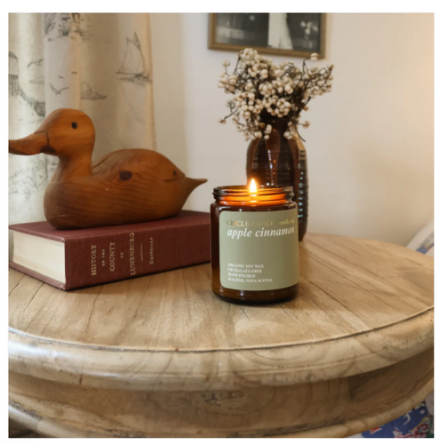 Apple Cinnamon Candle