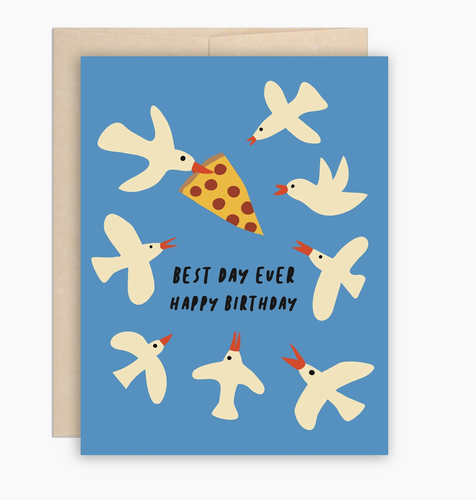 Funny Seagulls Birthday Card