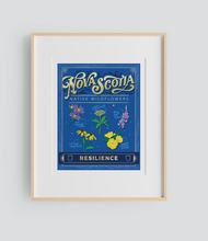 Load image into Gallery viewer, Nova Scotia Wildflowers Print